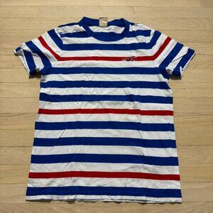 Vintage Hollister Striped Tee Blue Red White Seagull Logo Mens L